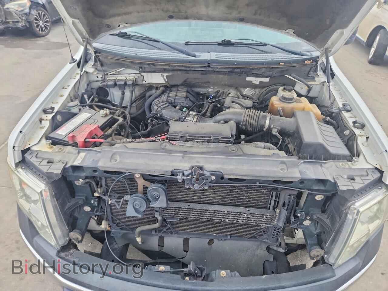 2013 FORD F150 - VIN: 1FTMF1CM8DKF04049 - Фото 11