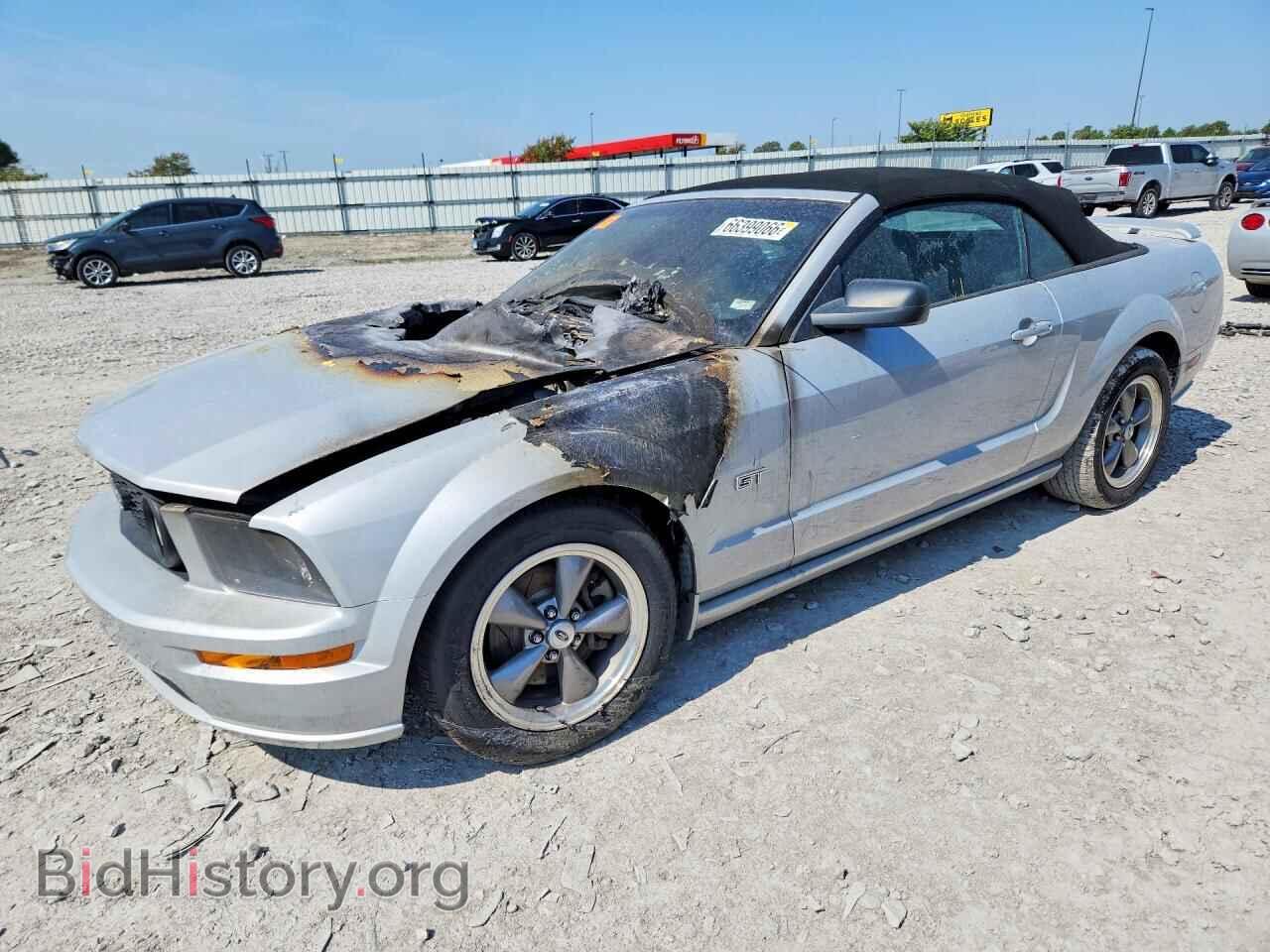 Фотография 1ZVHT85H965146266 - FORD MUSTANG 2006