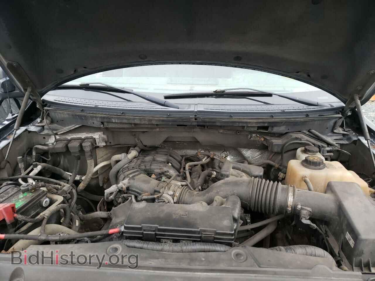 2012 FORD F150 - VIN: 1FTMF1EM7CKD60280 - Фото 7