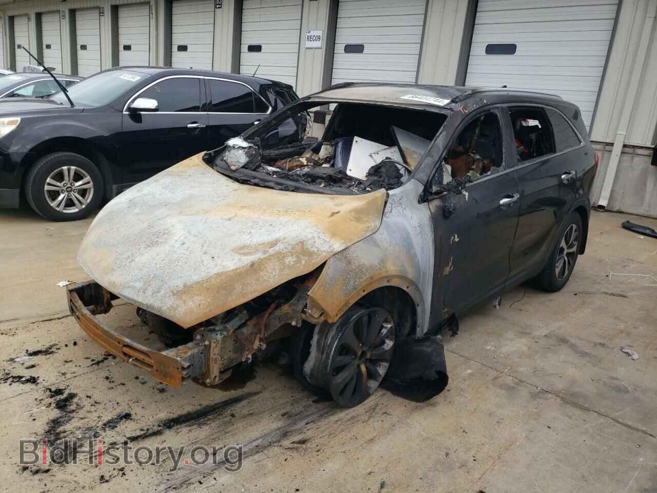 Фотография 5XYPH4A5XHG290049 - KIA SORENTO 2017