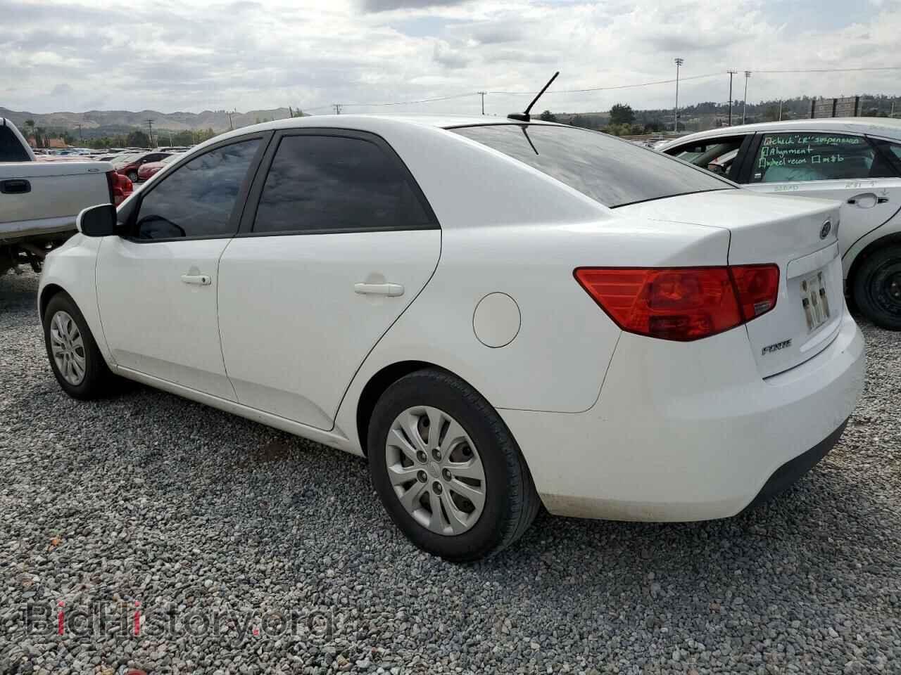 2013 KIA FORTE - VIN: KNAFT4A25D5665202 - Фото 2