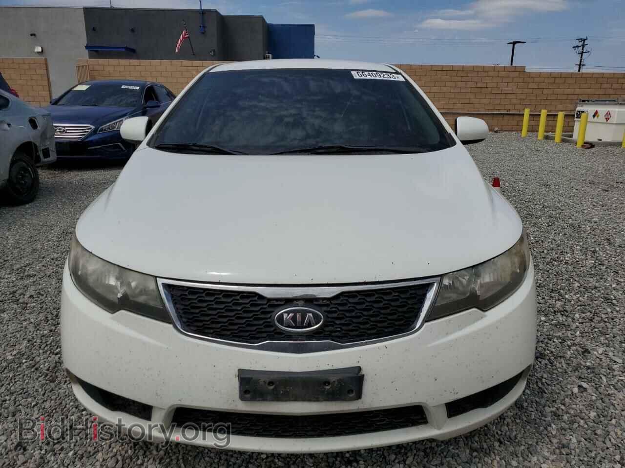 2013 KIA FORTE - VIN: KNAFT4A25D5665202 - Фото 5