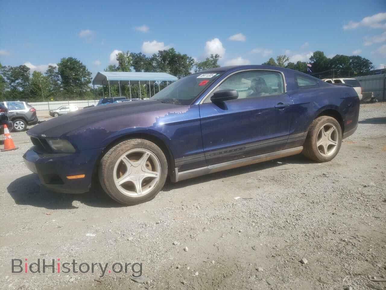 Photo 1ZVBP8ANXA5128292 - FORD ALL Models 2010
