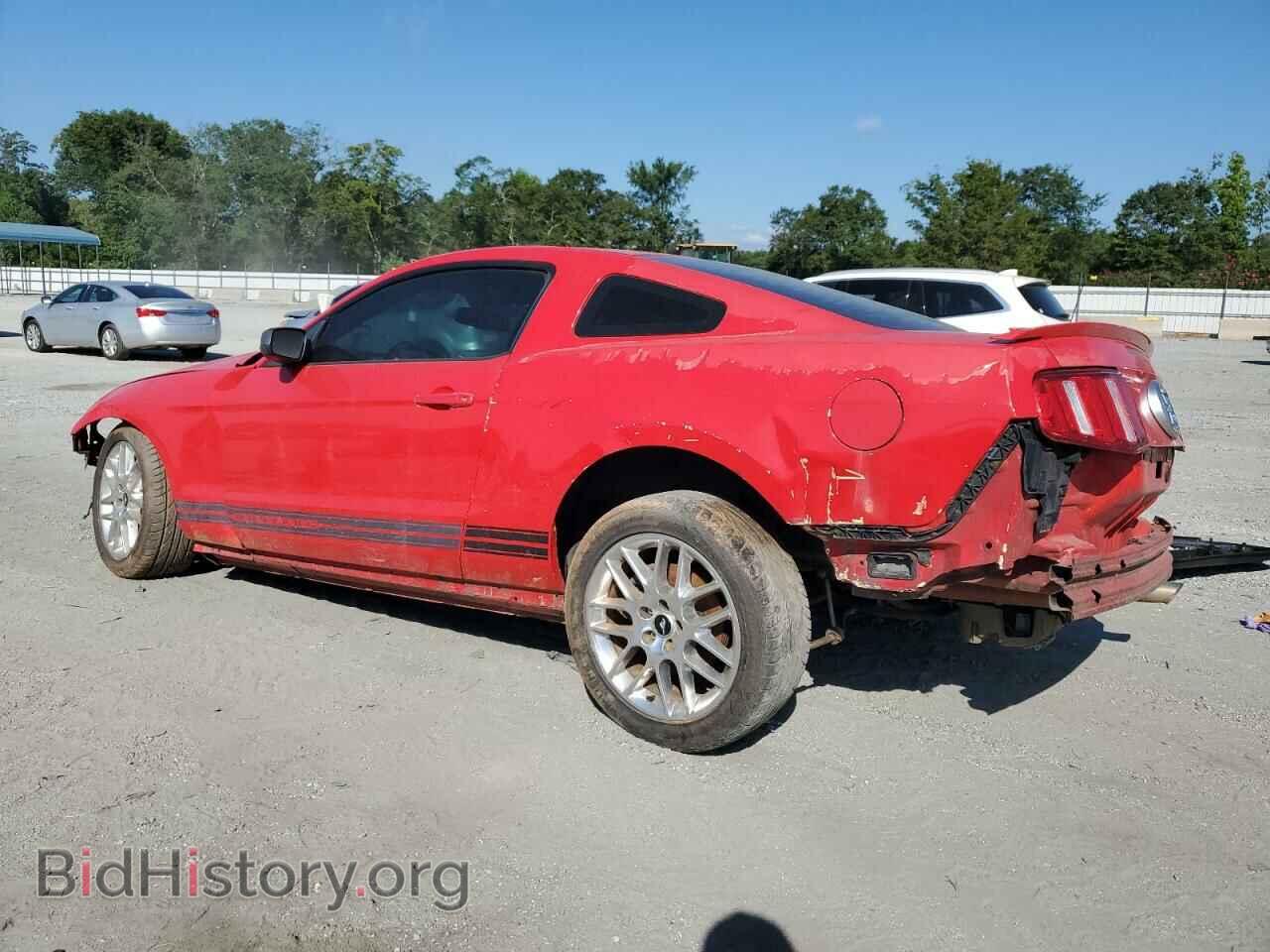 2010 FORD ALL Models - VIN: 1ZVBP8AN7A5169866 - Фото 2