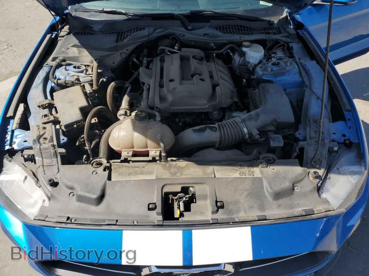 2019 FORD ALL Models - VIN: 1FA6P8TH7K5143920 - Photo 11