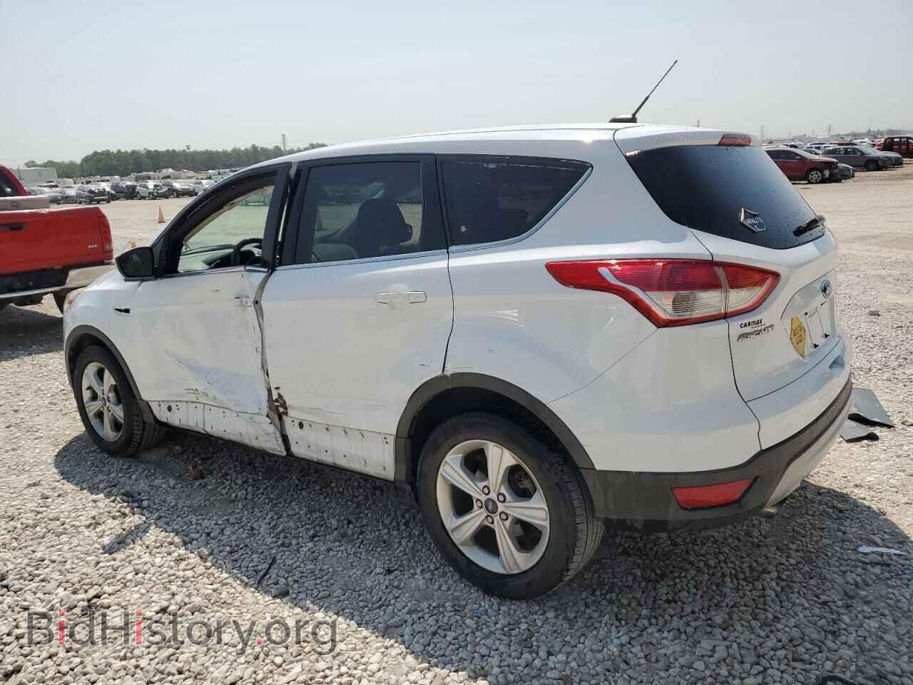 2014 FORD ESCAPE - VIN: 1FMCU0GX5EUB44997 - Фото 2