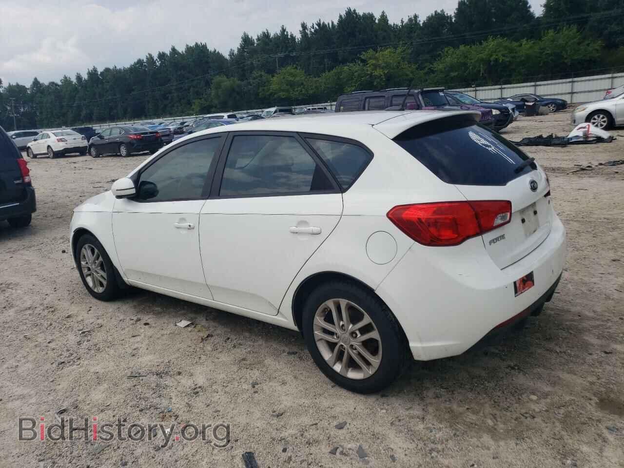 2011 KIA FORTE - VIN: KNAFU5A27B5331415 - Фото 2