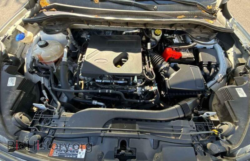 2020 Ford ESCAPE (VIN 1FMCU9G67LUA79806) — photo 7 of 10