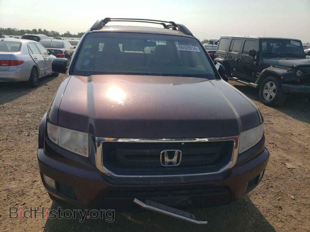 2009 HONDA RIDGELINE - VIN: 5FPYK16239B106377 - Фото 5