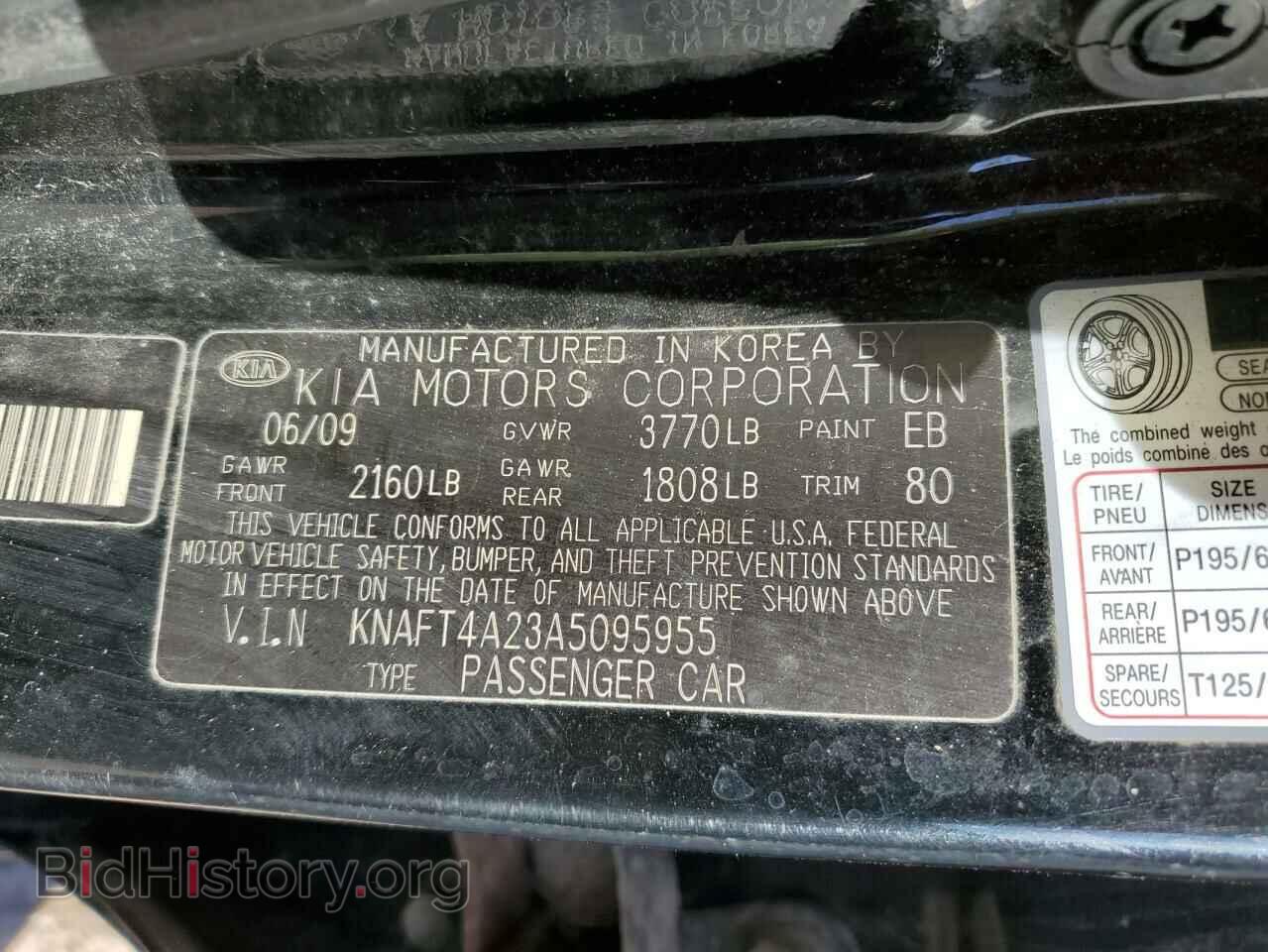 2010 KIA FORTE - VIN: KNAFT4A23A5095955 - Фото 10