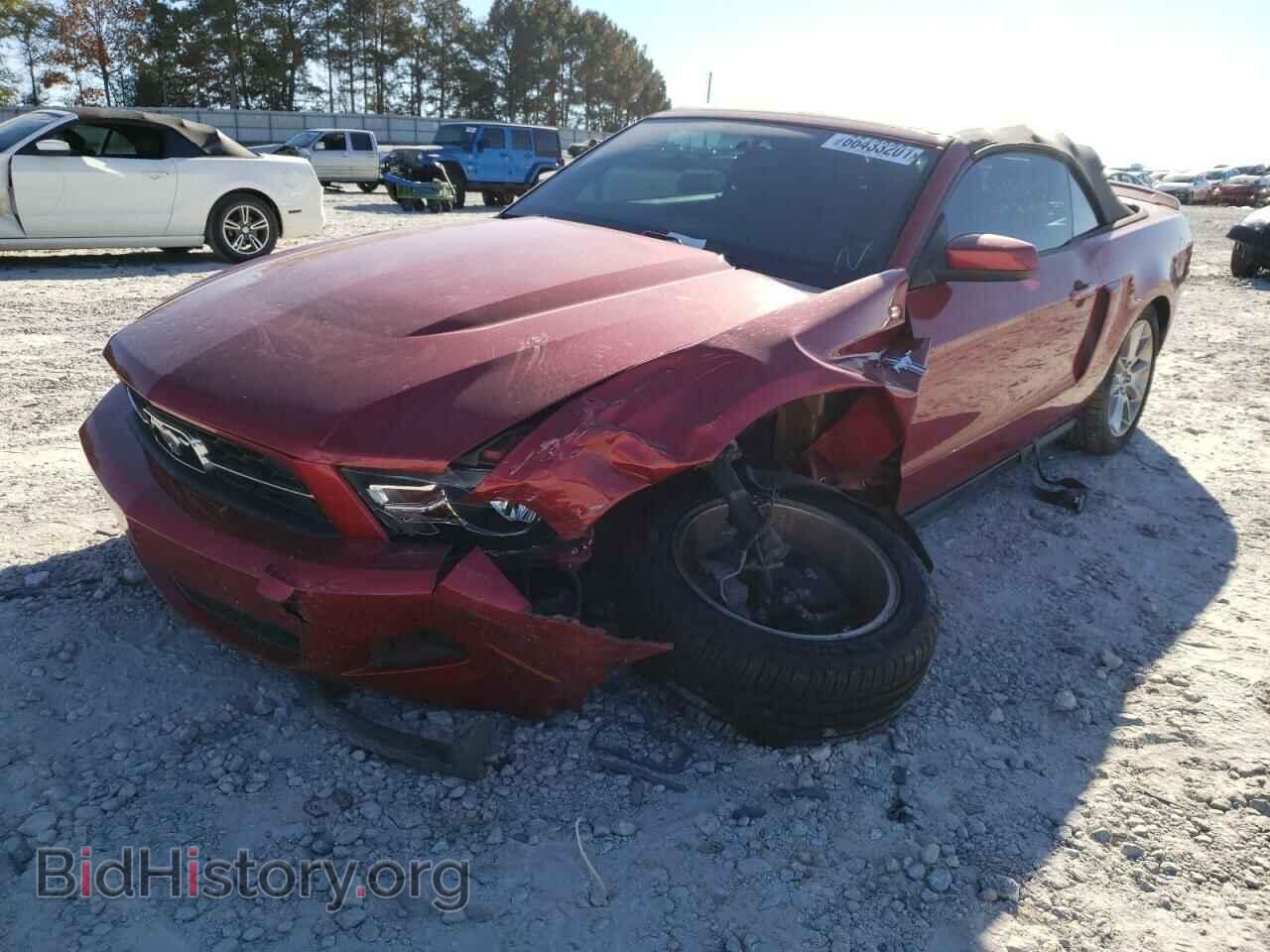 2011 FORD MUSTANG - VIN: 1ZVBP8EM6B5101979 - Фото 2