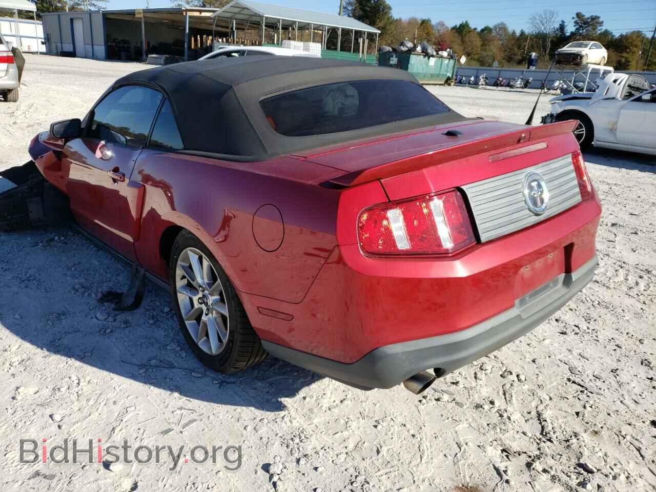2011 FORD MUSTANG - VIN: 1ZVBP8EM6B5101979 - Фото 3