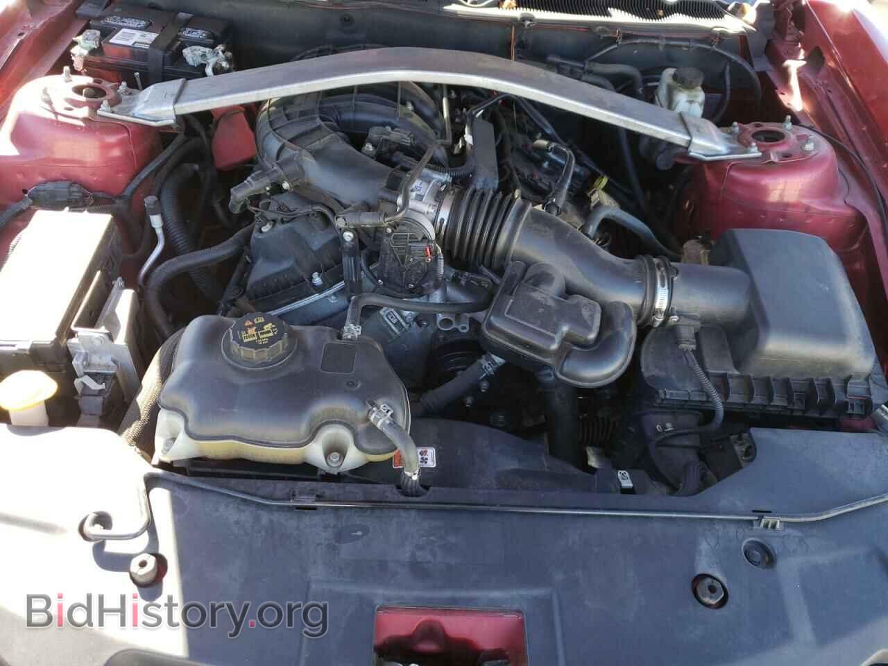 2011 FORD MUSTANG - VIN: 1ZVBP8EM6B5101979 - Фото 7
