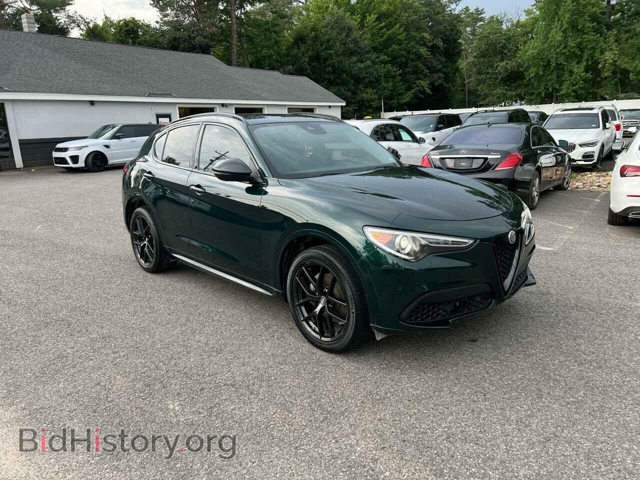 Photo ZASPAKBN3M7D10860 - ALFA ROMEO STELVIO 2021