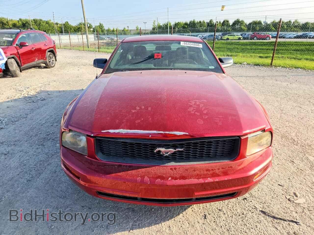 2005 FORD MUSTANG - VIN: 1ZVFT80N755155552 - Фото 5