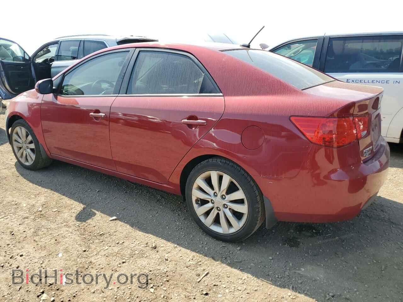 2011 KIA FORTE - VIN: KNAFW4A31B5349213 - Фото 2