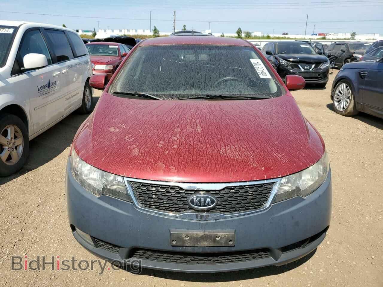 2011 KIA FORTE - VIN: KNAFW4A31B5349213 - Фото 5