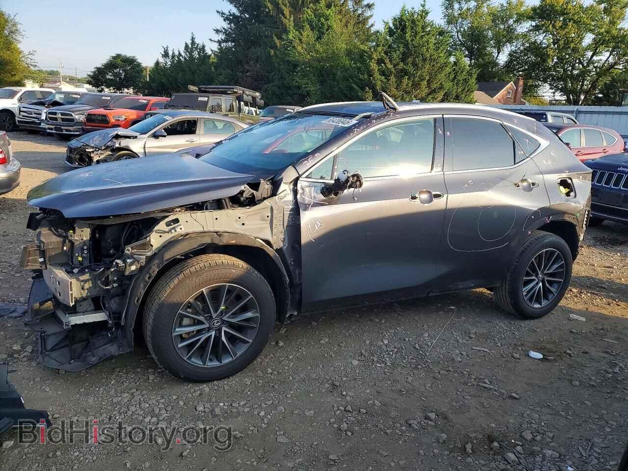 Photo 2T2GGCEZ5RC045453 - LEXUS NX 2024
