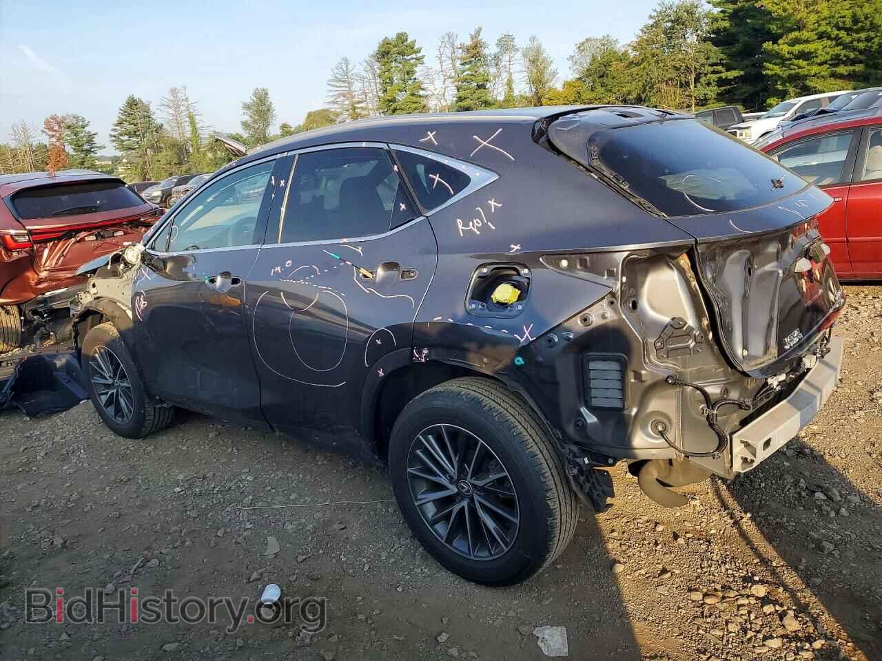 2024 LEXUS NX - VIN: 2T2GGCEZ5RC045453 - Фото 2
