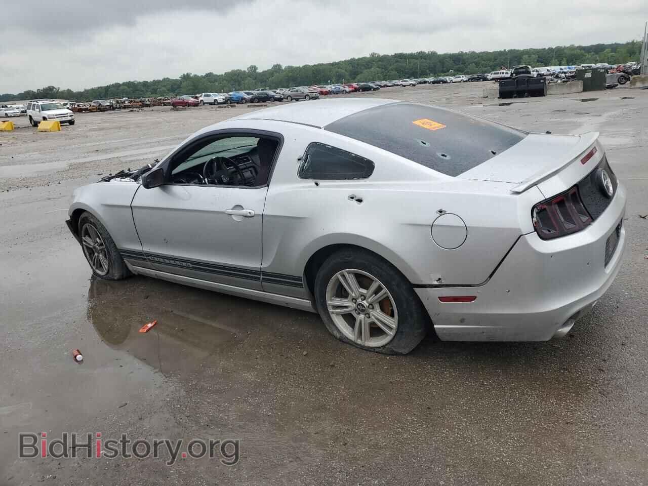 2013 FORD ALL Models - VIN: 1ZVBP8AM3D5266218 - Фото 2