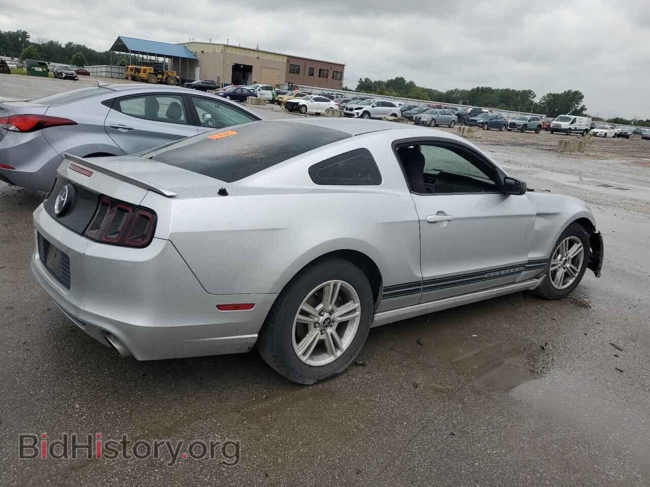 2013 FORD ALL Models - VIN: 1ZVBP8AM3D5266218 - Фото 3