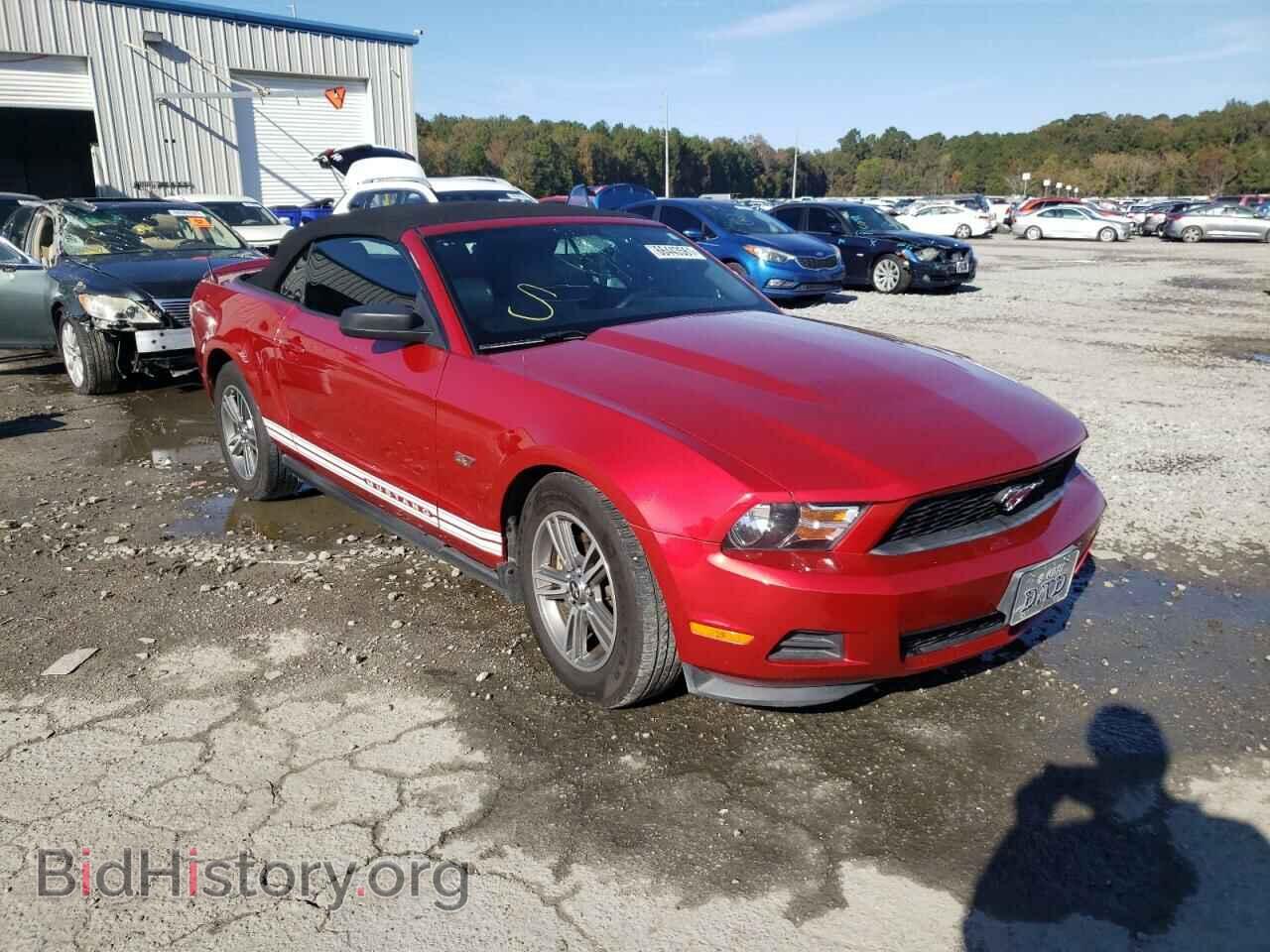 Фотография 1ZVBP8EM6C5286357 - FORD MUSTANG 2012