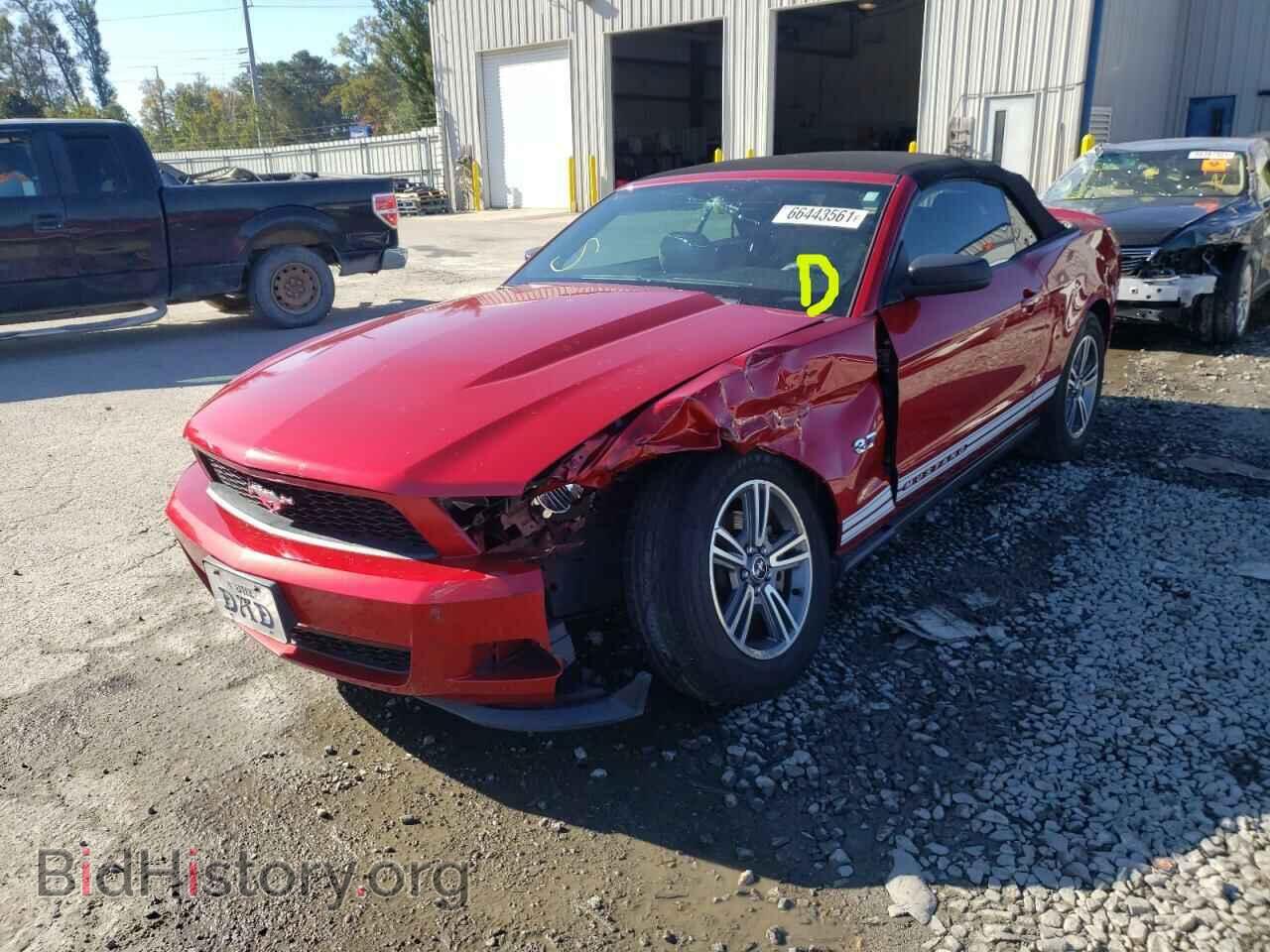 2012 FORD MUSTANG - VIN: 1ZVBP8EM6C5286357 - Фото 2