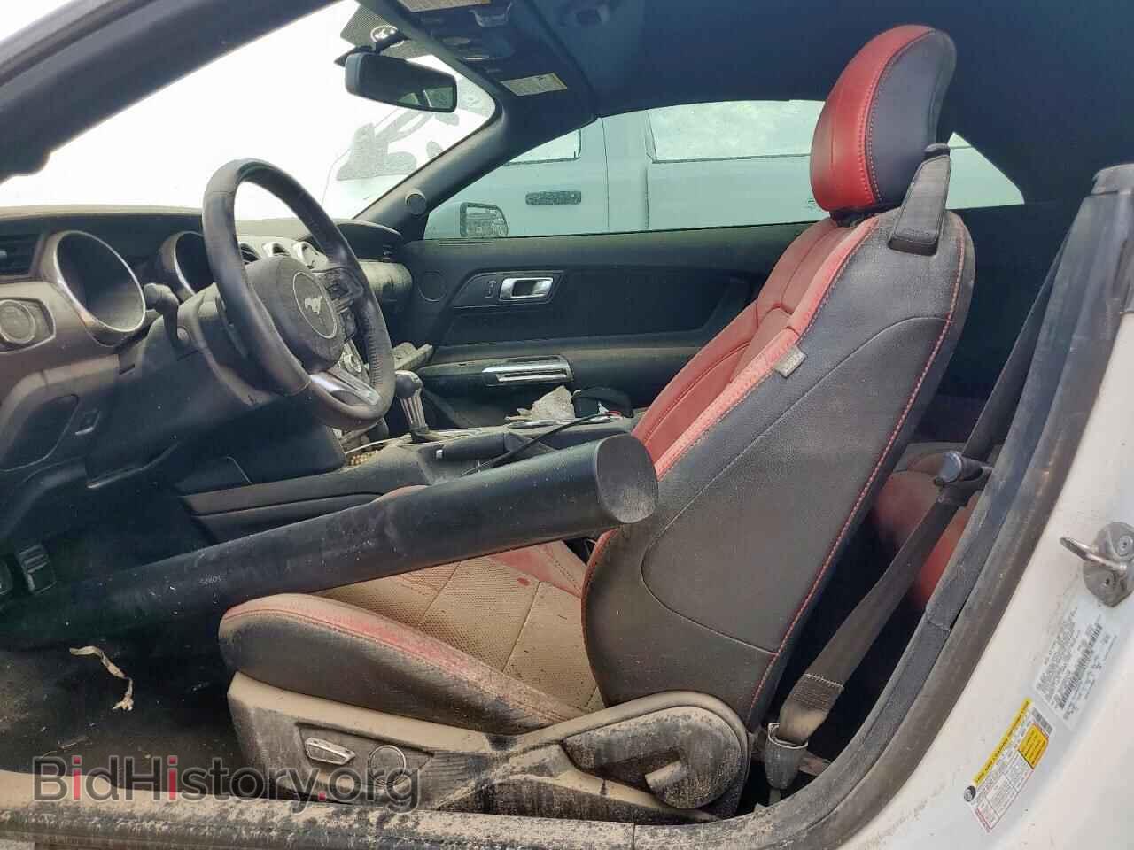 2019 FORD ALL Models - VIN: 1FATP8UH0K5130458 - Фото 7