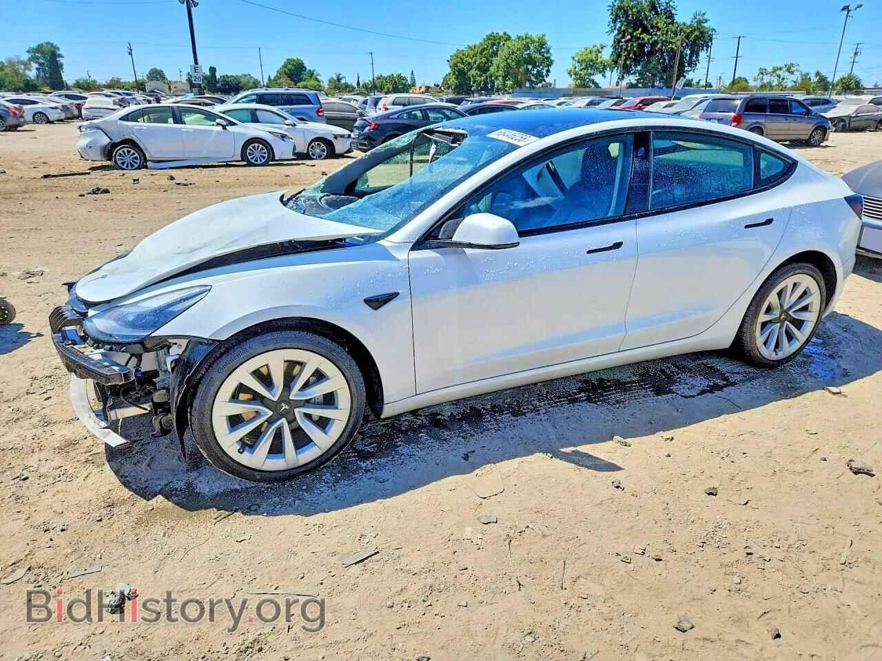 Фотография 5YJ3E1EA7PF446843 - TESLA MODEL 3 2023