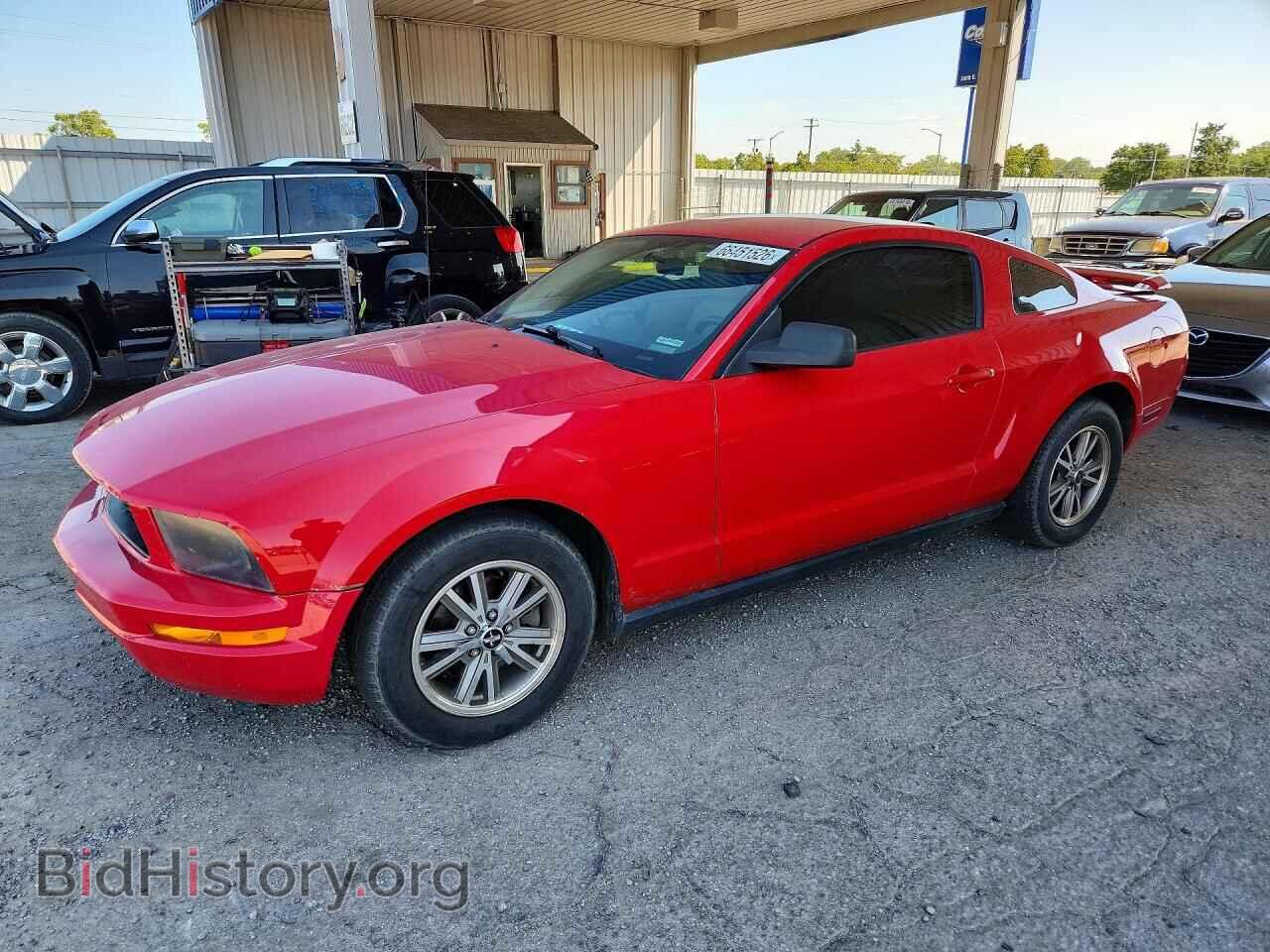 Photo 1ZVFT80N355250531 - FORD MUSTANG 2005