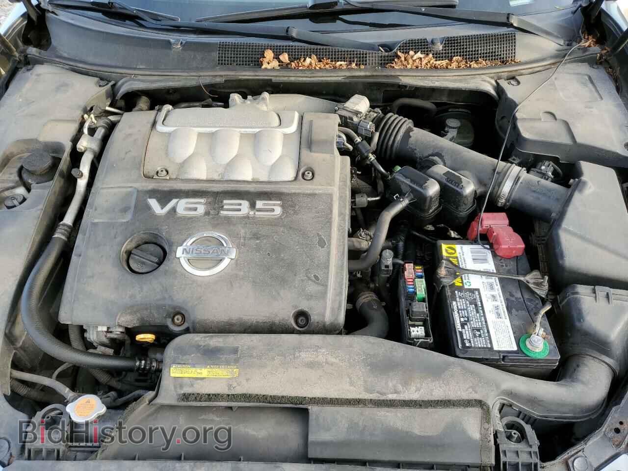 2006 NISSAN MAXIMA - VIN: 1N4BA41E96C825975 - Фото 7