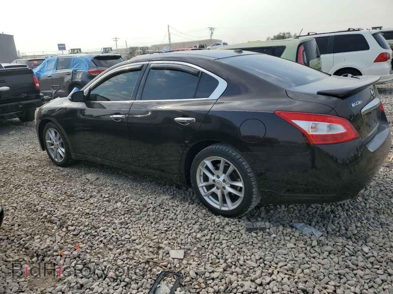 2011 NISSAN MAXIMA - VIN: 1N4AA5AP3BC852652 - Фото 2