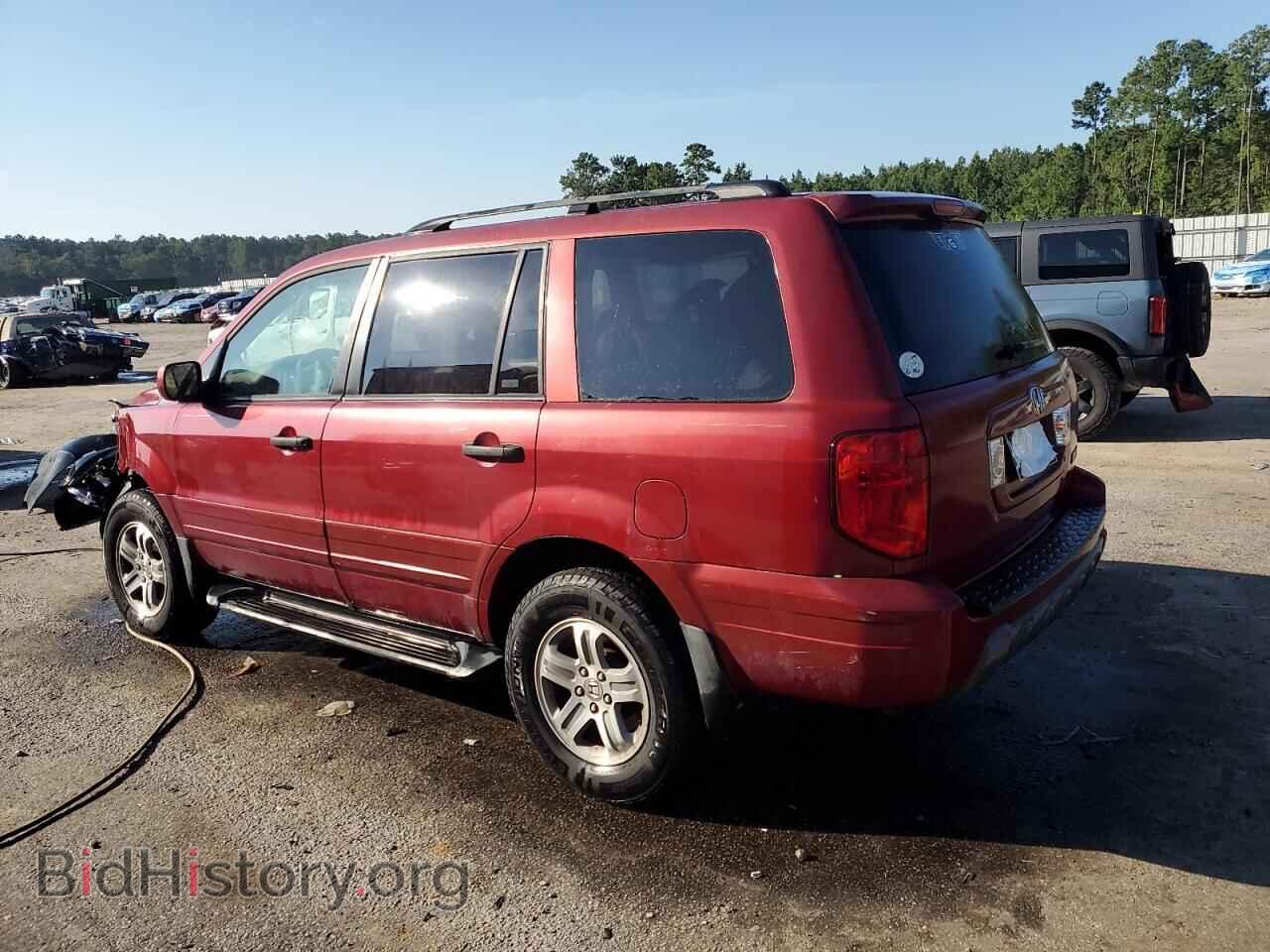 2005 HONDA PILOT - VIN: 5FNYF18535B033378 - Фото 2