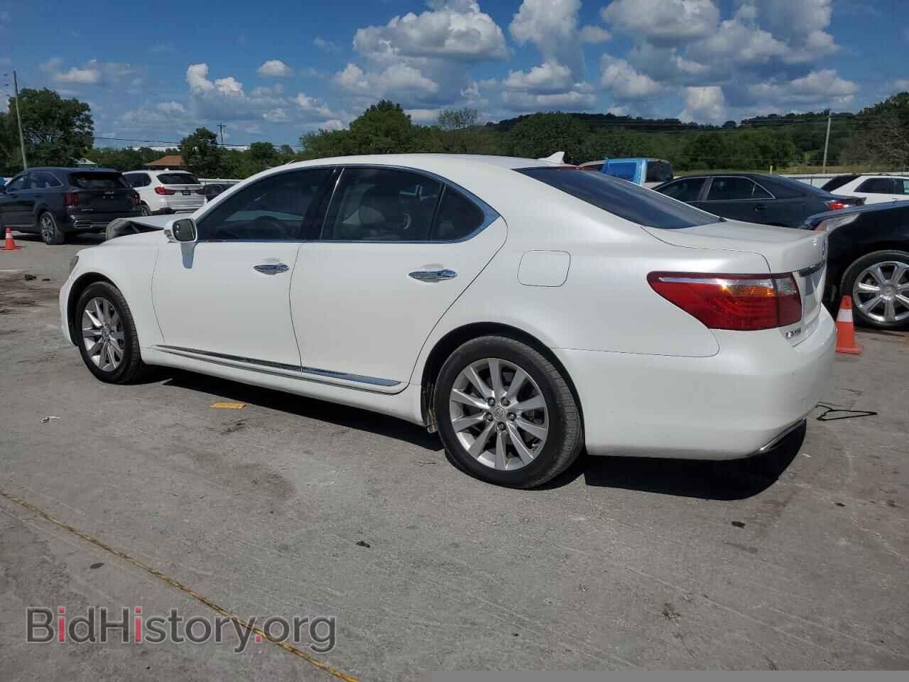 2010 LEXUS LS460 - VIN: JTHCL5EF8A5005349 - Фото 2