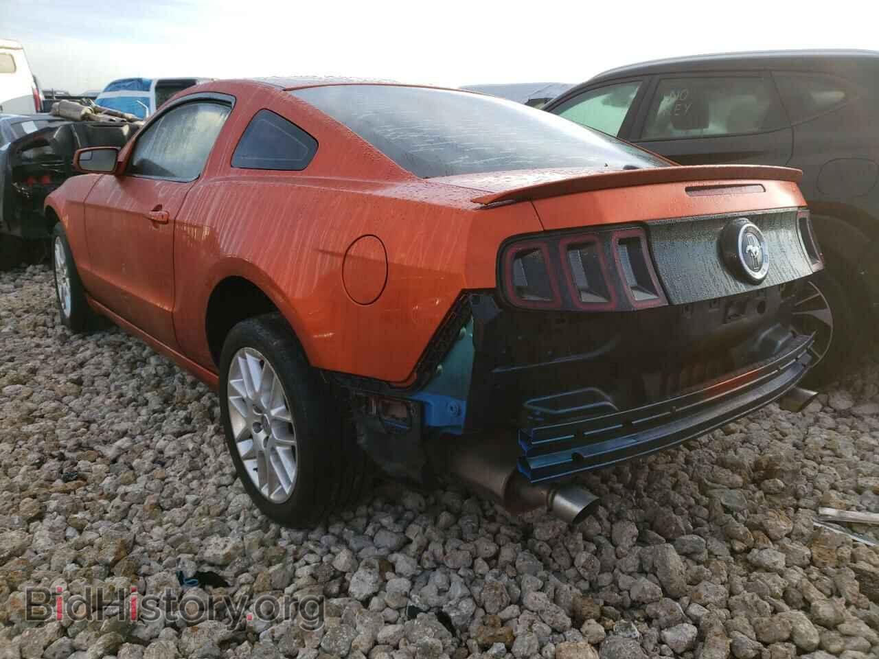 2014 FORD MUSTANG - VIN: 1ZVBP8AM0E5225837 - Фото 3