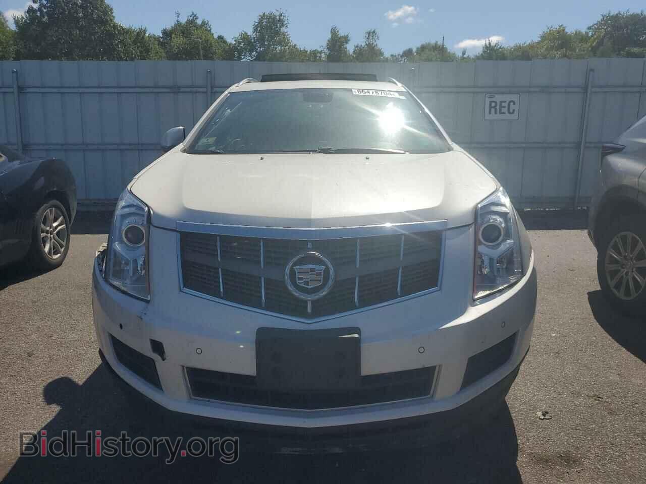 2011 CADILLAC SRX - VIN: 3GYFNDEYXBS533707 - Фото 5