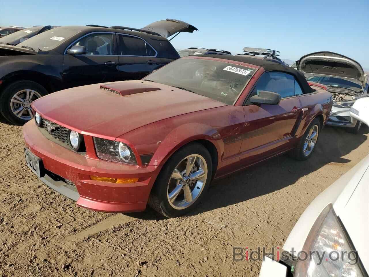 Фотография 1ZVHT85H875334102 - FORD MUSTANG 2007