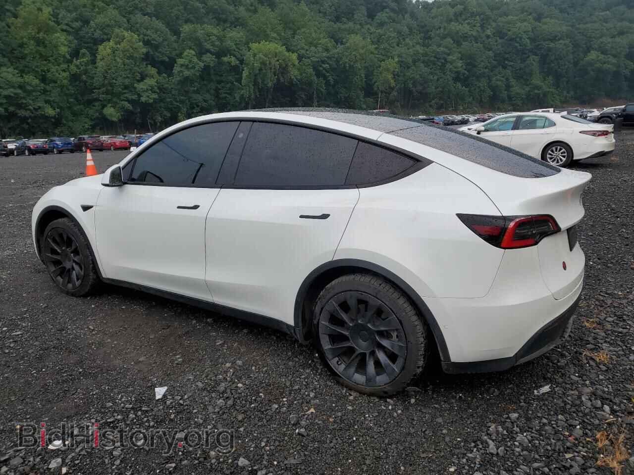 2021 TESLA MODEL Y - VIN: 5YJYGDEE9MF184694 - Фото 2