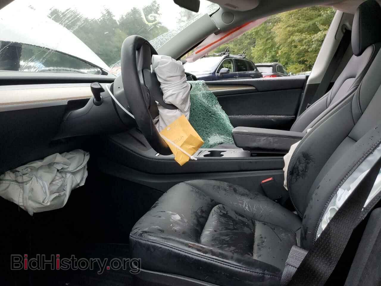 2023 TESLA MODEL Y - VIN: 7SAYGDEE5PA058899 - Фото 7