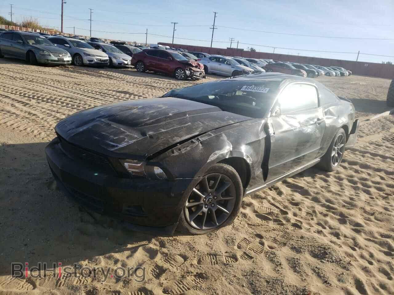 2011 FORD MUSTANG - VIN: 1ZVBP8AM3B5156265 - Фото 2