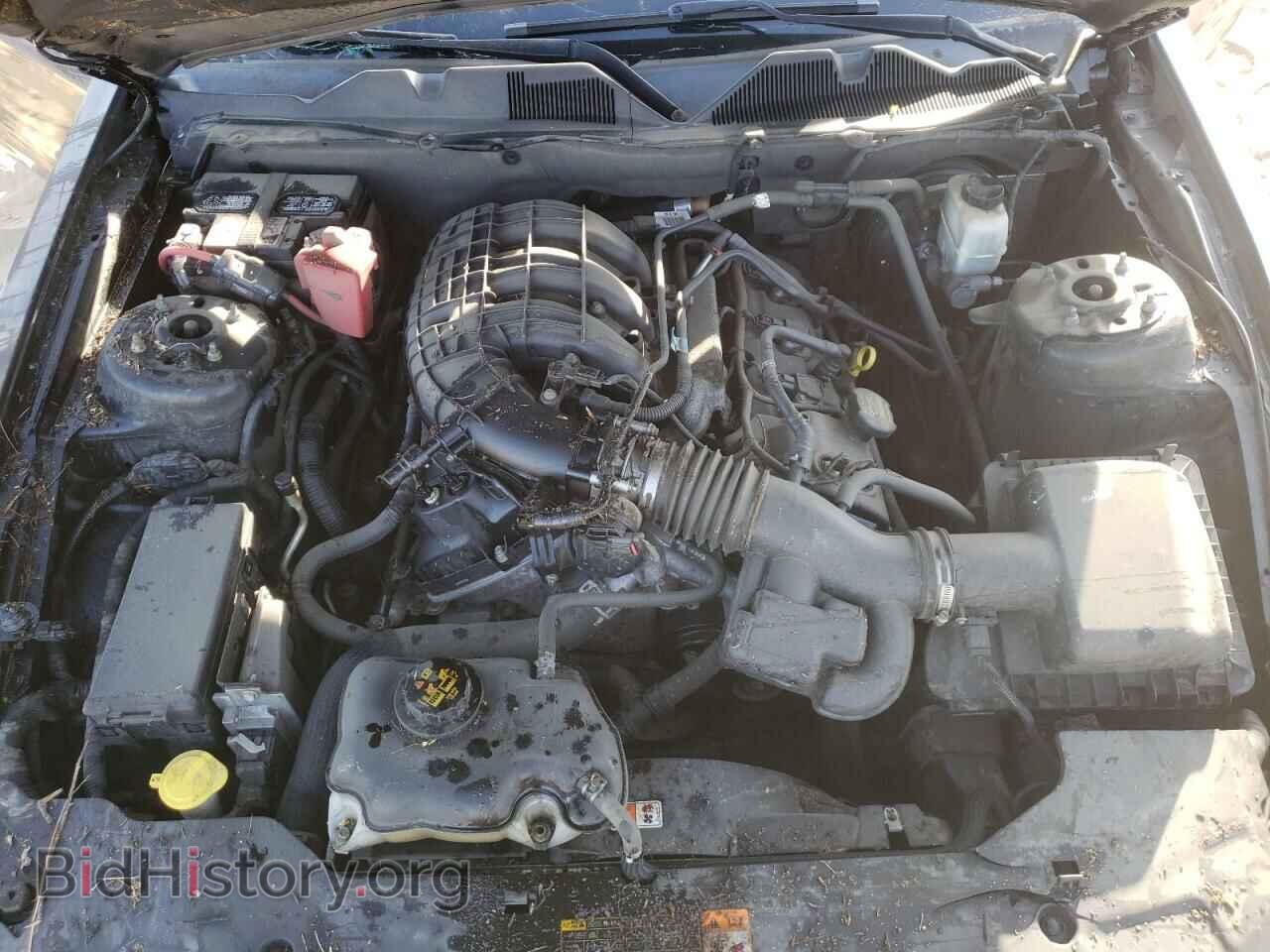 2011 FORD MUSTANG - VIN: 1ZVBP8AM3B5156265 - Фото 7