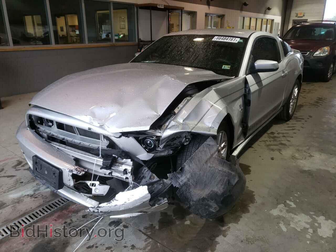 2013 FORD MUSTANG - VIN: 1ZVBP8AM3D5218329 - Фото 2