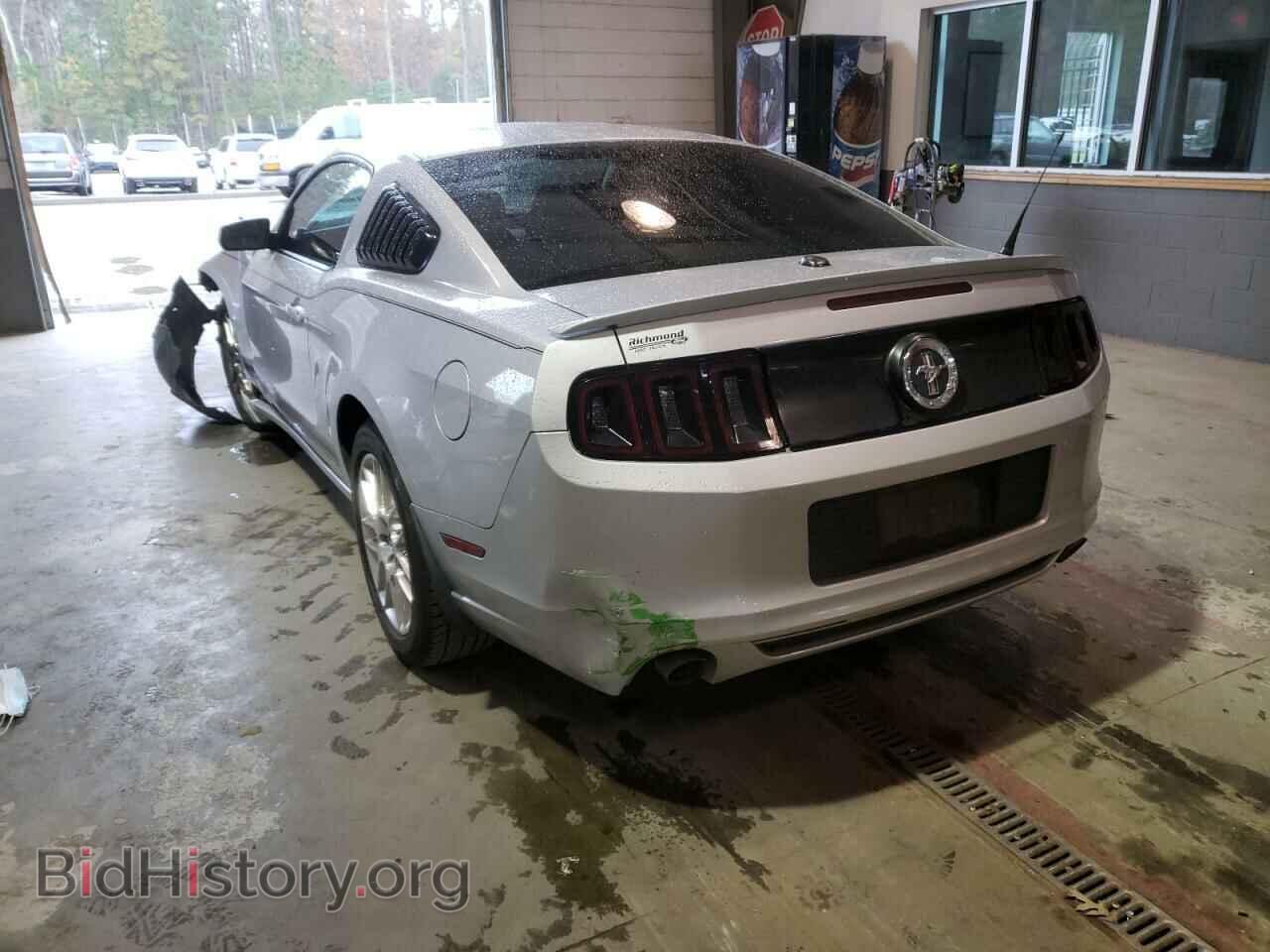 2013 FORD MUSTANG - VIN: 1ZVBP8AM3D5218329 - Фото 3
