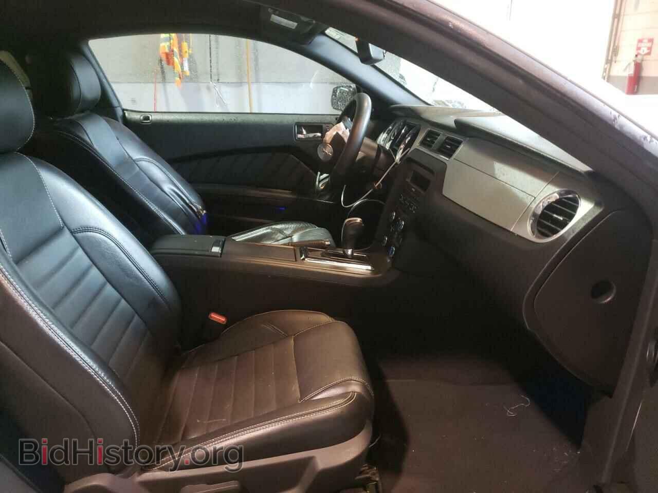 2013 FORD MUSTANG - VIN: 1ZVBP8AM3D5218329 - Фото 5