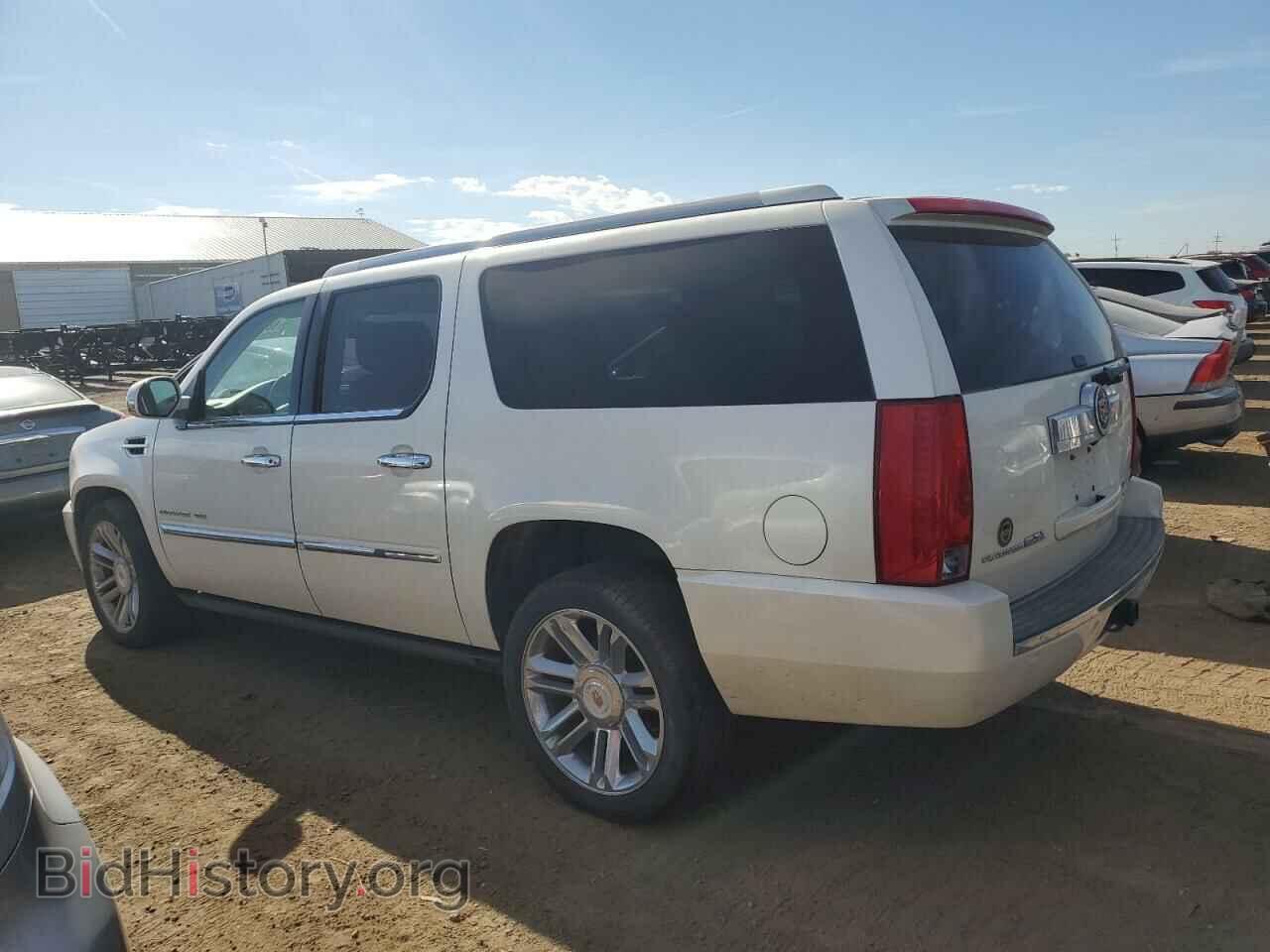 2013 CADILLAC ESCALADE - VIN: 1GYS48EF0DR213843 - Фото 2