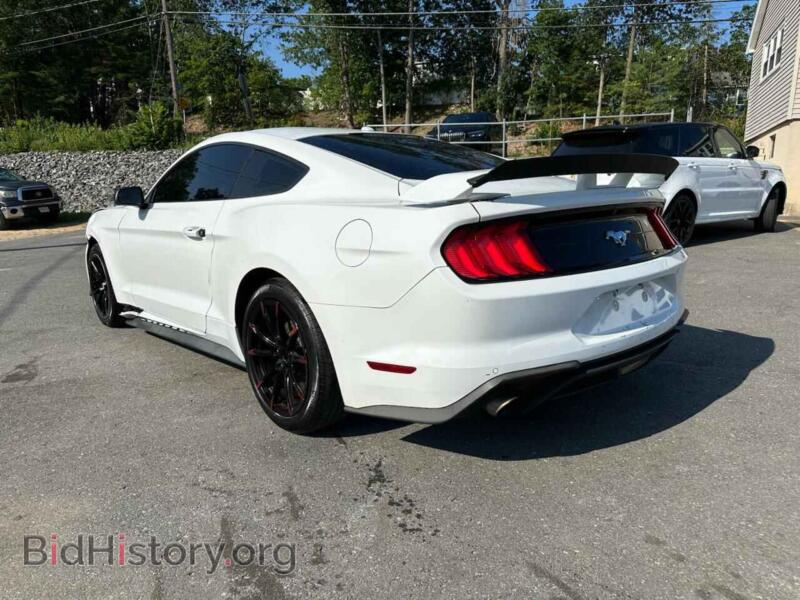 2019 Ford ALL MODELS (VIN 1FA6P8TH7K5193930) — фото 2 из 10