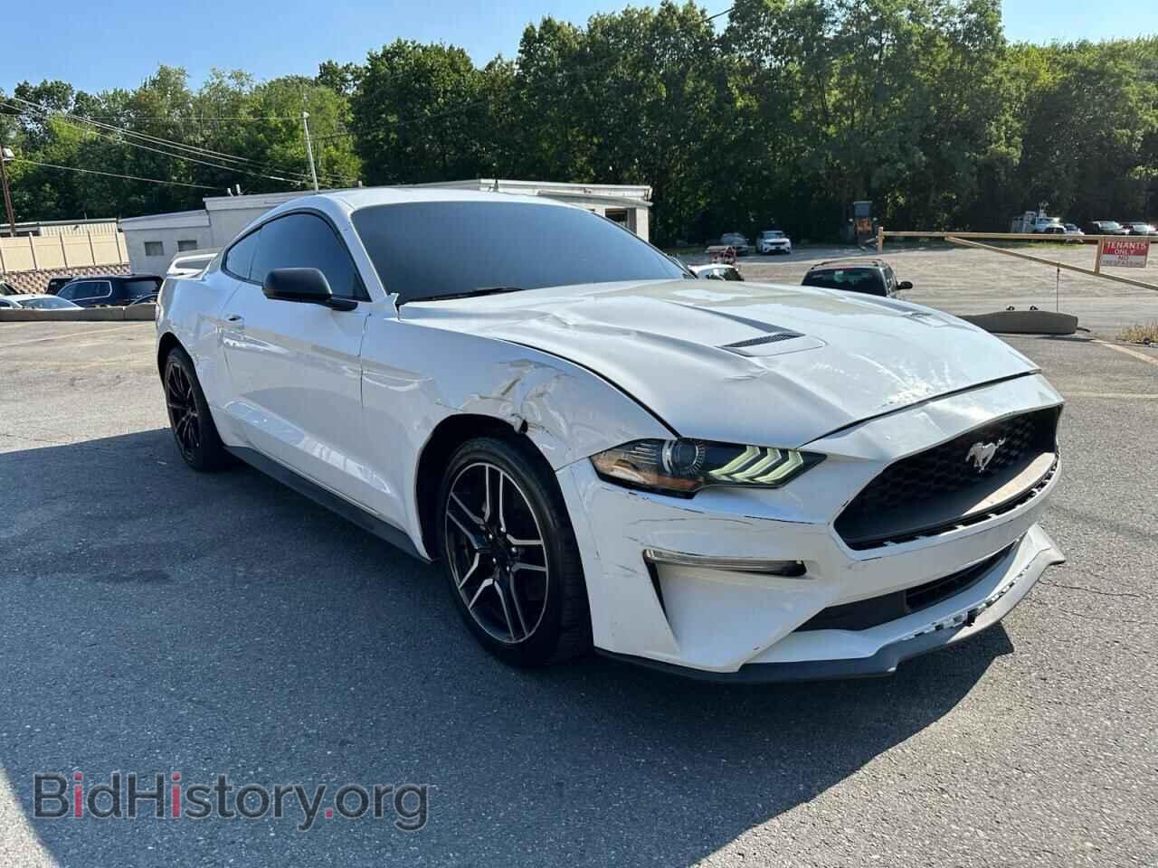 2019 FORD ALL Models - VIN: 1FA6P8TH7K5193930 - Фото 4