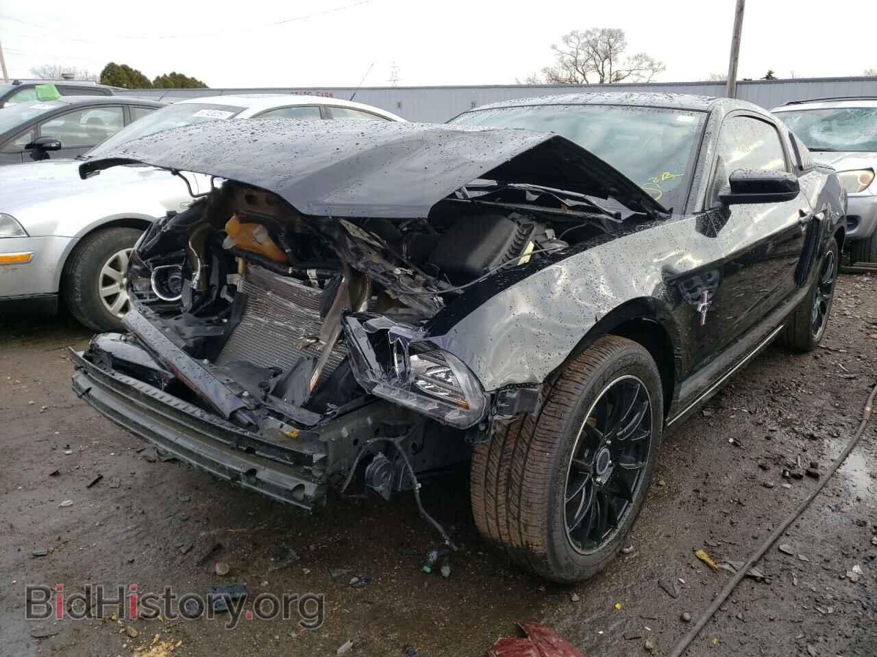 2014 FORD MUSTANG - VIN: 1ZVBP8AM4E5233424 - Фото 2