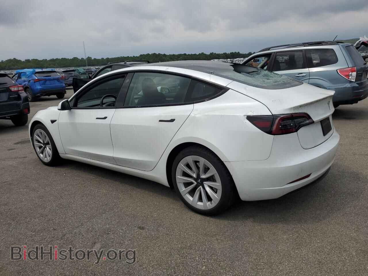 2023 TESLA MODEL 3 - VIN: 5YJ3E1EA1PF510956 - Photo 2