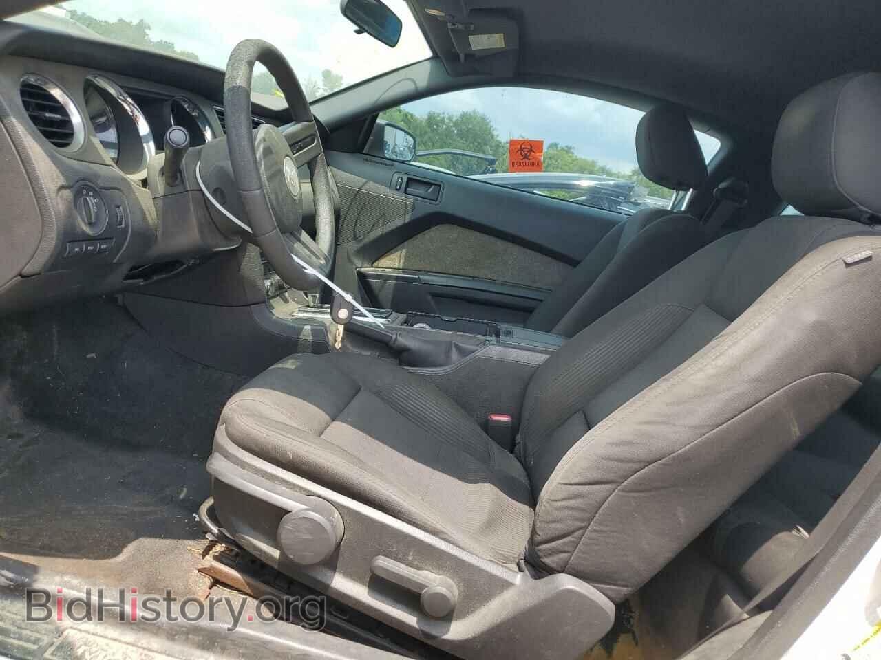 2011 FORD ALL Models - VIN: 1ZVBP8AM6B5158317 - Photo 7